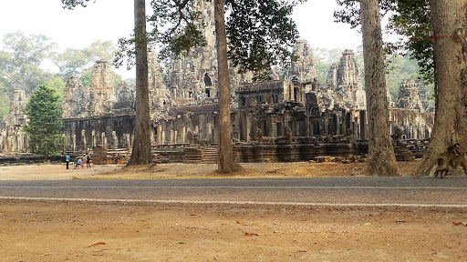 Monkey Morning in Cambodia 2016