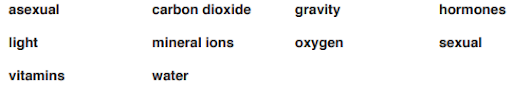 Sexual reproduction in flowering plants