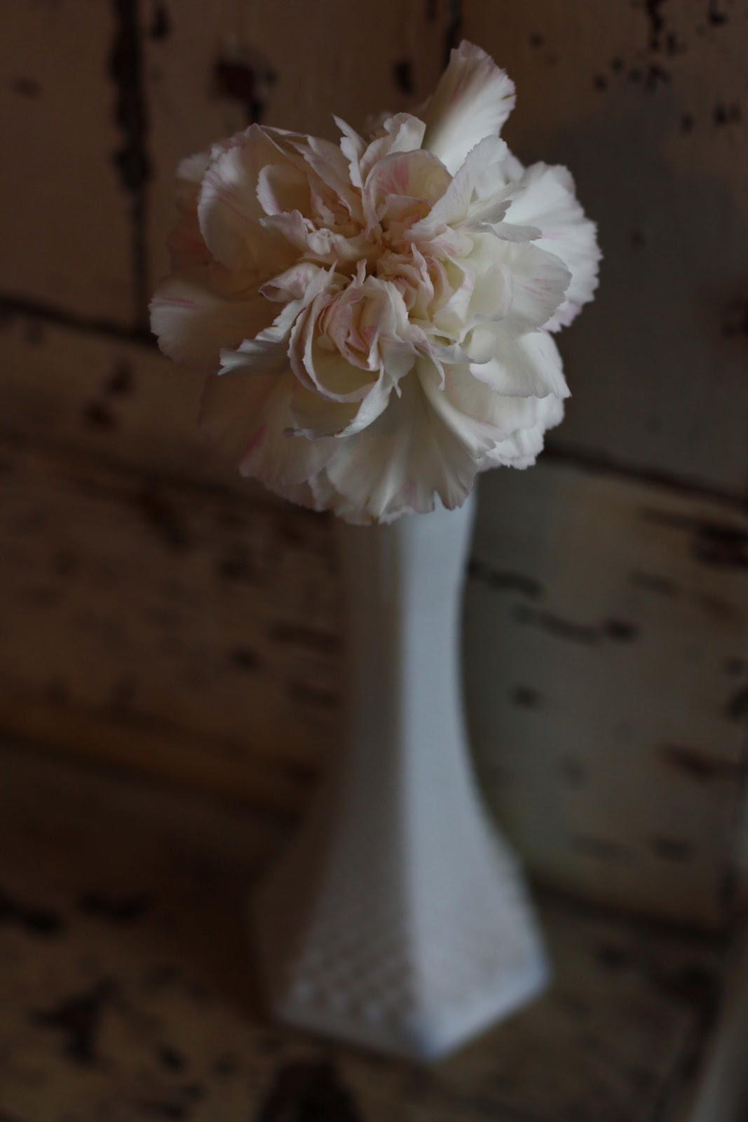 carnation wedding bouquet