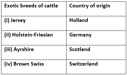 Animal Husbandry