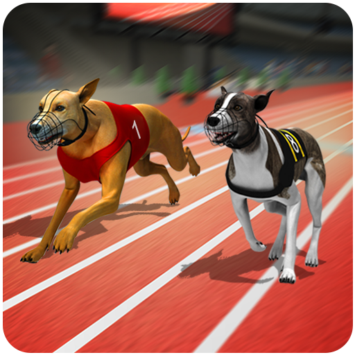 Crazy Dog Race 3D Simulation Android Gameplay ᴴᴰ 