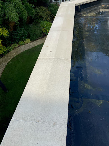 Steam cleaning of coping stones