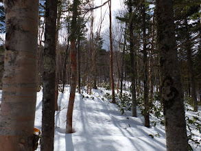 雪が締まって良い感じに