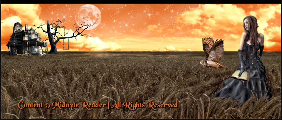 Midnyte Reader 2011 Wrap Up