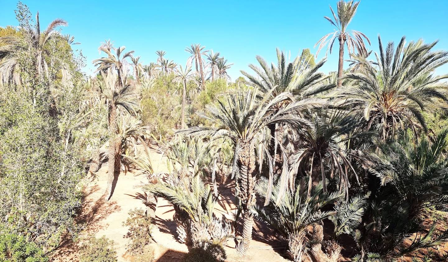 Propriété avec piscine et jardin Marrakech