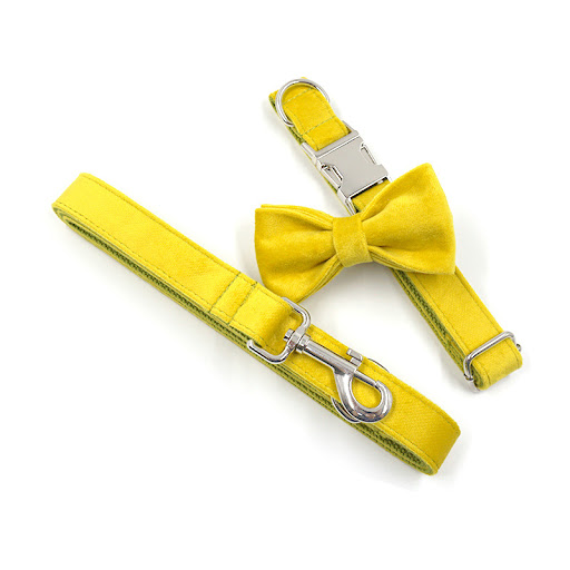 Title 3, Elegant Yellow and Green Velvet Dog Go Out Coll...