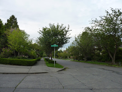 Madison Park Blogger Pit Bull Attack Gets A Reaction