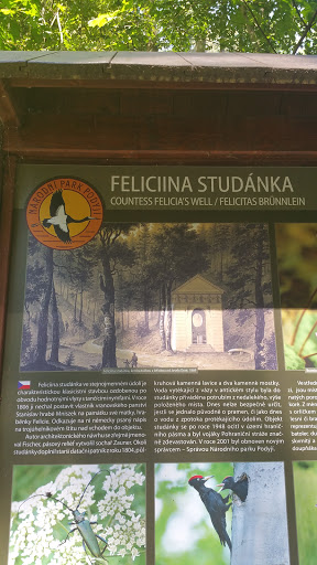 Feliciina studanka