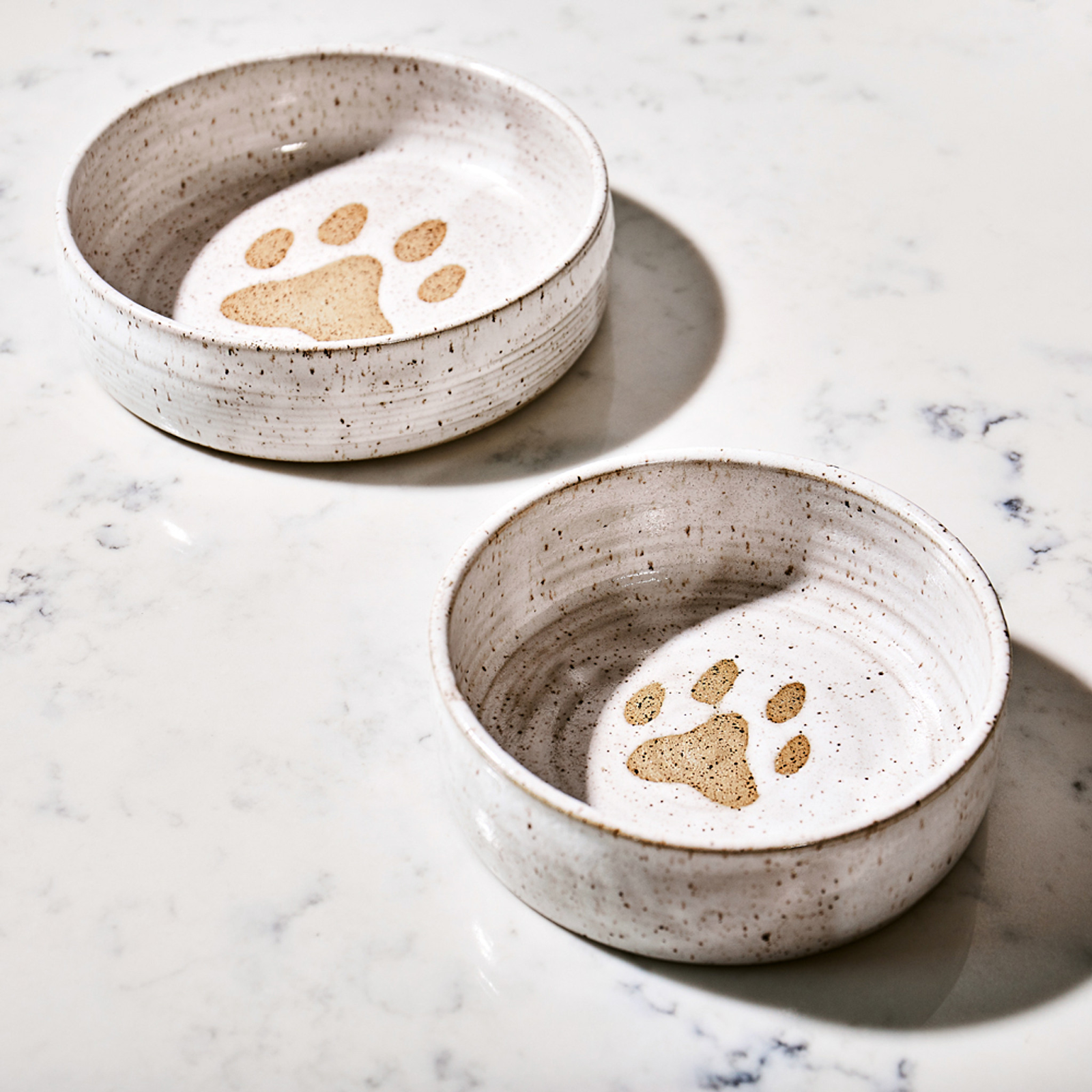 Choose Ceramic Dog Bowls for Your Furry Friend