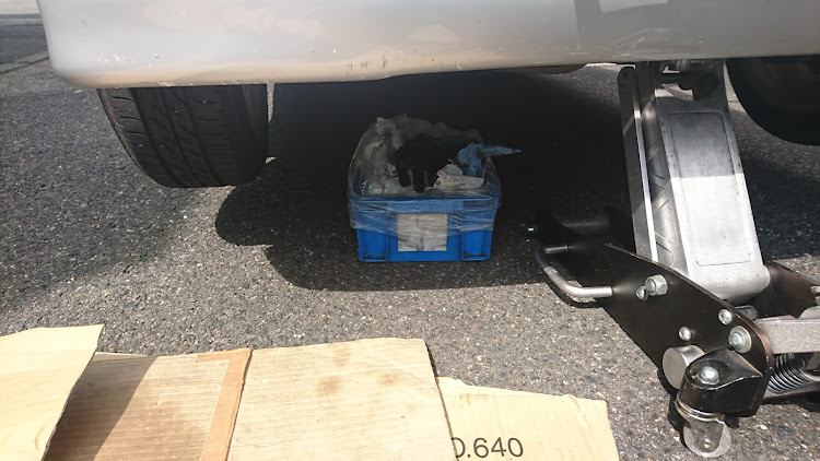 アルトワークスのチビトリヤ(鈴木旧車倶楽部) さんが投稿したカスタム事例の投稿画像1枚目