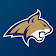 Montana State Bobcats icon