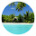 Palm Tree New Tab Page HD Top Themes