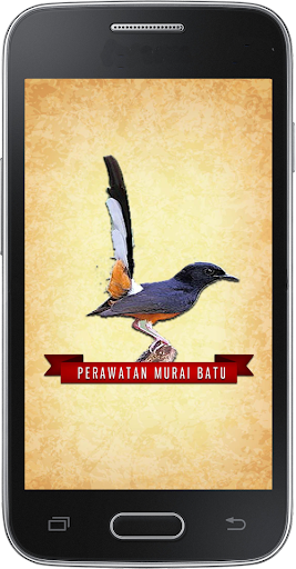 Perawatan Burung Murai Batu