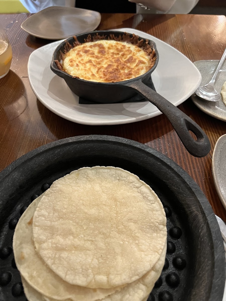 The cheese dip with tortillas instead of the cross contaminated tortilla chips.