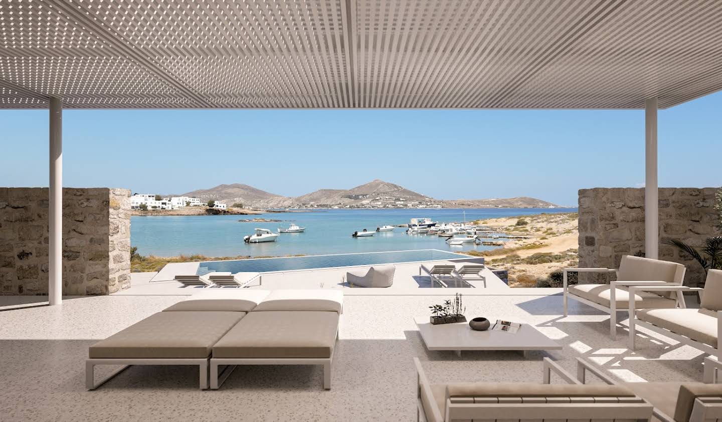 Villa with pool and terrace Paros