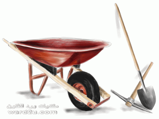 الرسم الرقمي ادوات بناء وبورتريه