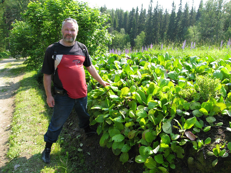 Автопутешествие на Соловки