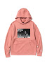 union jordan flying high hooded sweatshirt pink