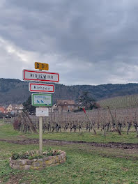 maison neuve à Colmar (68)