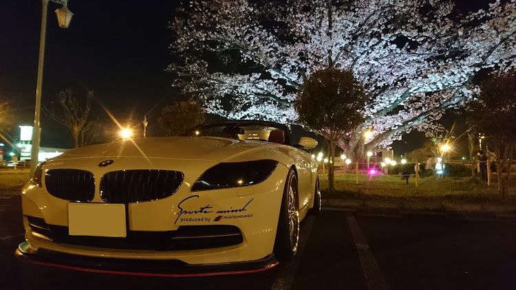 Z4 ロードスターの医療従事者にエールを❗️・眼力選手権・あと一踏ん張り・桜と愛車・桜とコラボに関するカスタム事例の投稿画像2枚目