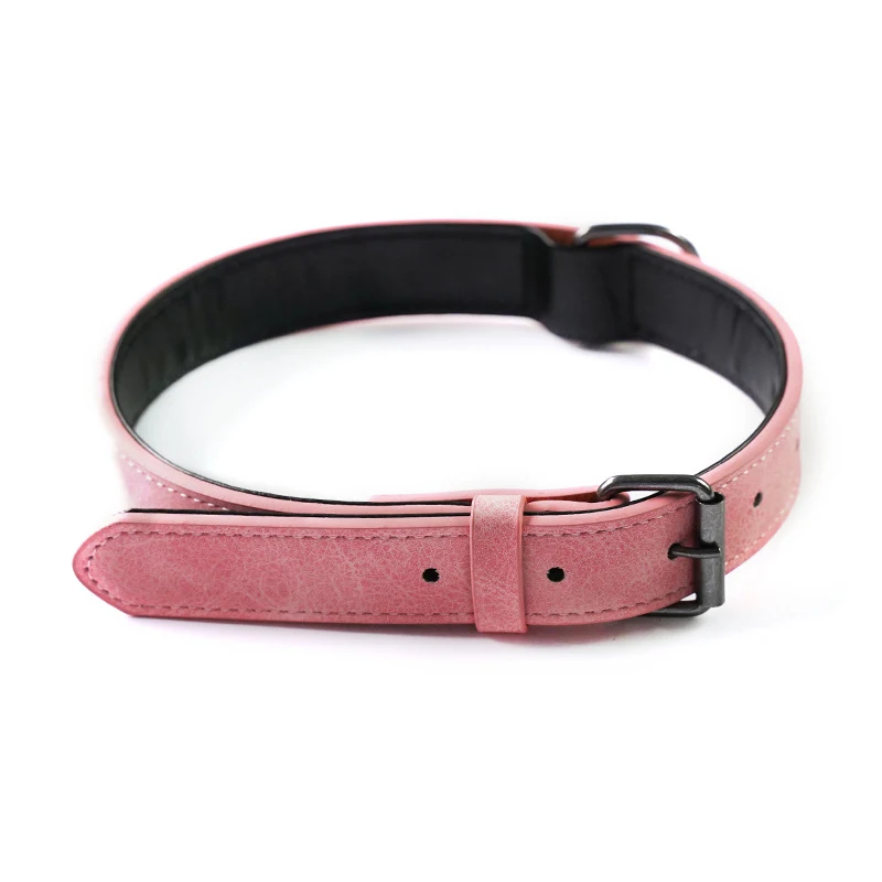Gegraveerde, verstelbare en anti-verlies halsband voor huisdieren van microvezel leer. Personaliseerbaar, veilig en comfortabel voor uw hond of kat.