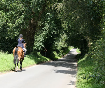 Horse riding in Pilgrims Rest  