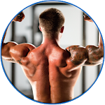 Back Workout Awesome Free Apk