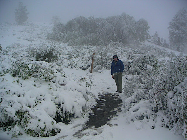 Snow near Wrightwood