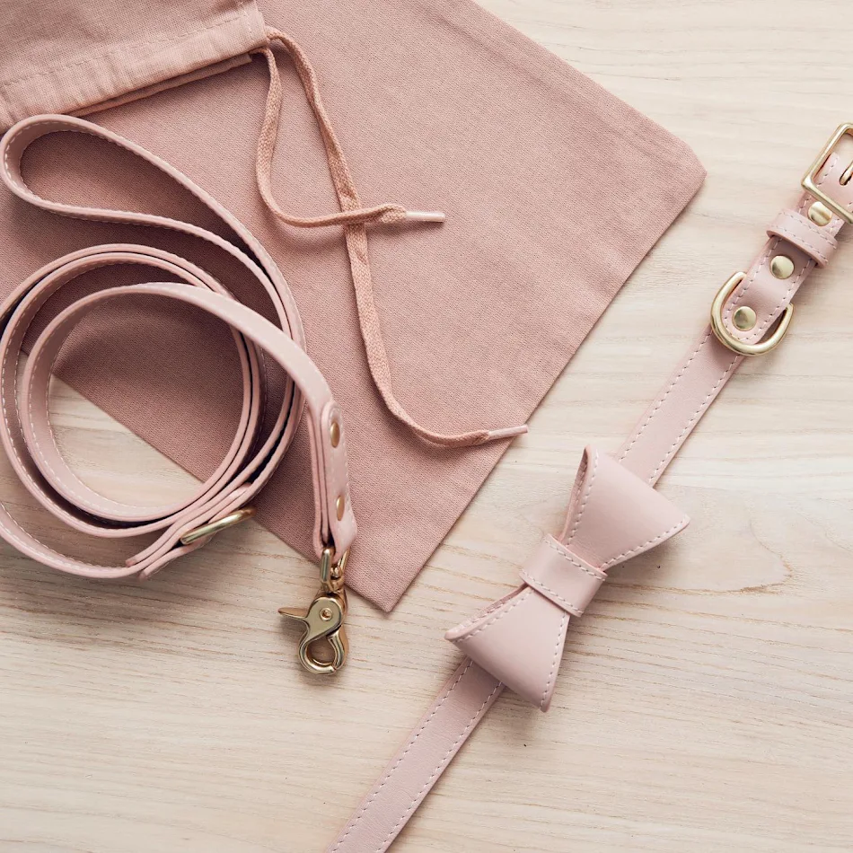 Schattige Huisdier Set met Strik, Halsband en Leiband. Ideaal voor stijlvolle wandelingen en optimale veiligheid. Laat je harige vriend shinen!
