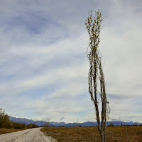 Verticale in solitaria di 