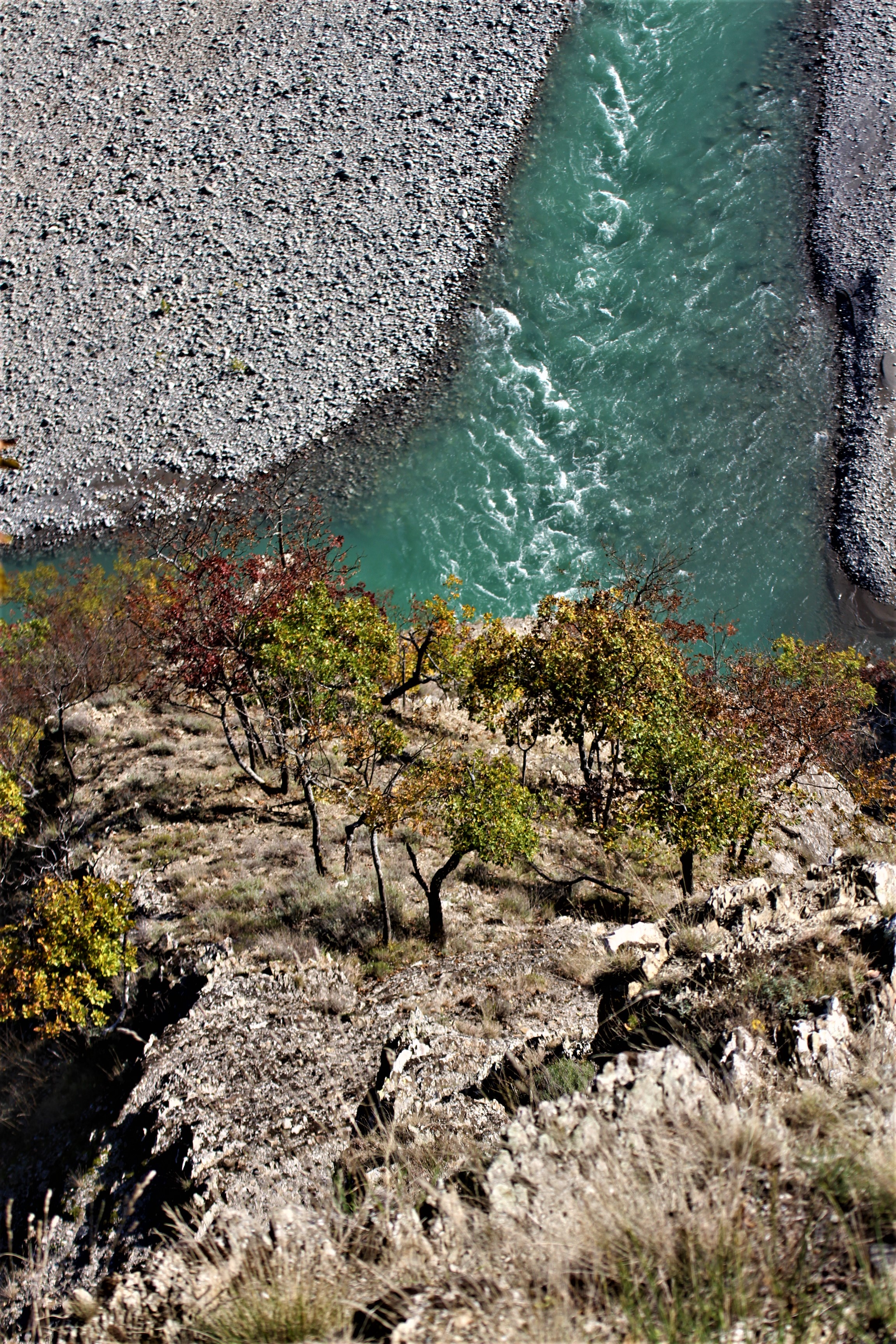 "Acqua di monte, acqua di fonte, acqua piovana, acqua sovrana" di balena43