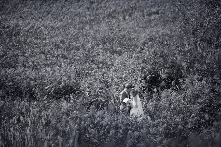 Huwelijksfotograaf Lena Astafeva (tigrdi). Foto van 20 september 2014