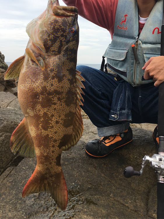 ハイエースのりょもんさんが投稿したカスタム事例の投稿画像1枚目