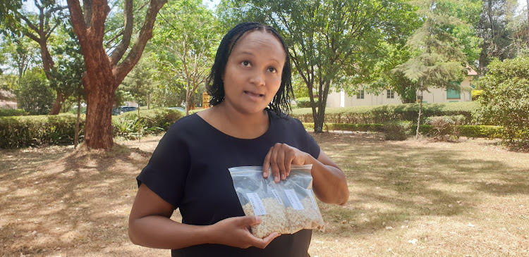 Charity Mutegi, a consultant on food safety who has been involved in capacity building for aflatoxin management displays maize at different levels of aflatoxin contamination.