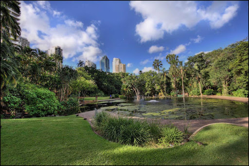 Escape from the urban hubbub by visiting the Brisbane Botanical Garden, Brisbane, Queensland.