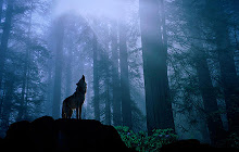 Wolf Wallpapers HD Theme small promo image