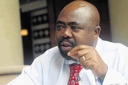 CLEANING HOUSE: Public Works Minister Thulas Nxesi