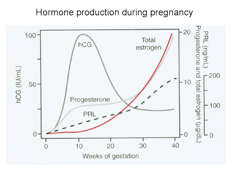 est_prog_preg_graph.png