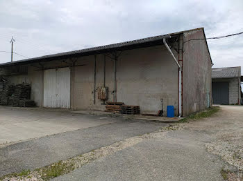 ferme à Vayres (33)