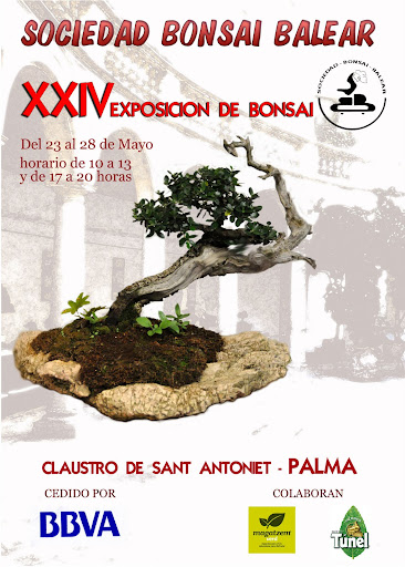 SOCIEDAD BONSAI BALEAR  -   XXIV EXPOSICION DE BONSAI Cartel%20%202011%20