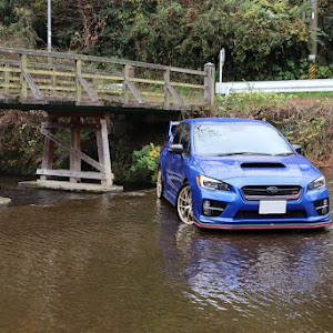 WRX STI