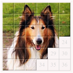 Cover Image of Download Tile Puzzle - Dogs 1.2.0 APK