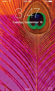 Peacock Wallpaper(圖5)-速報App