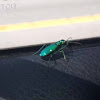 Six-Spotted Tiger Beetle