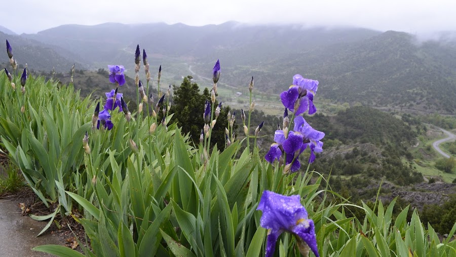 Армения: сокровища нации