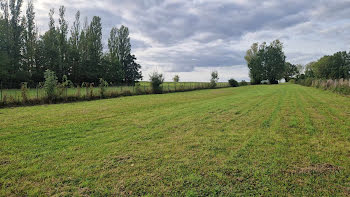 terrain à Mesnil-Saint-Père (10)