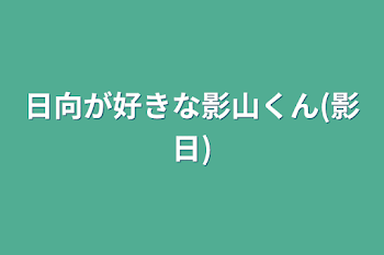 日向が好きな影山くん(影日)