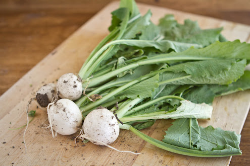 fennel with turnip greens