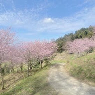 悠然秘境小屋