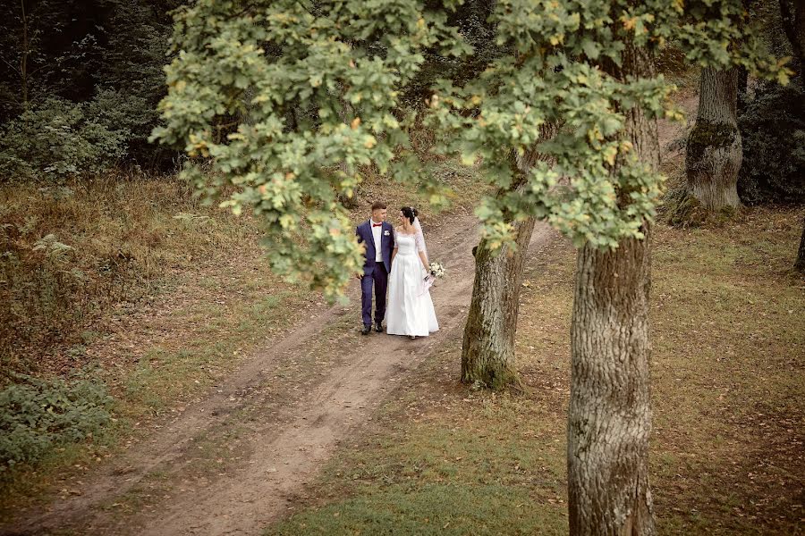 Fotógrafo de bodas Aleksandr Berezhnoy (alexberezhnoj). Foto del 19 de octubre 2020